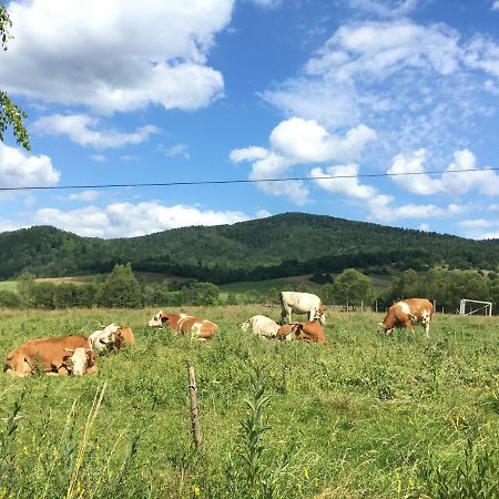 Pokoje U Bozeny I Zbyszka Lipie (Bieszczady) Exterior foto
