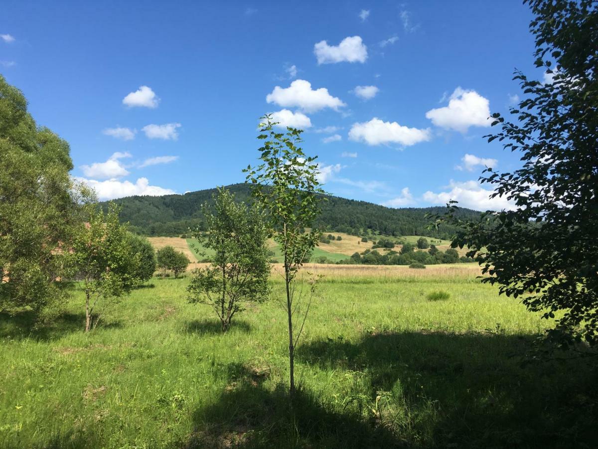 Pokoje U Bozeny I Zbyszka Lipie (Bieszczady) Exterior foto